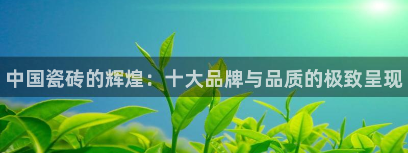 必一体育sport网页版：中国瓷砖的辉煌：十大品牌与品质的极致呈现