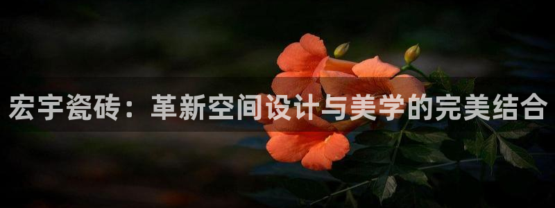 必一体育sport官方网站：宏宇瓷砖：革新空间设计与美学的完美结合