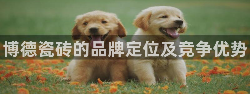 必一体育sport网页版