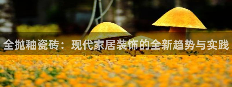 必一体育运动下载