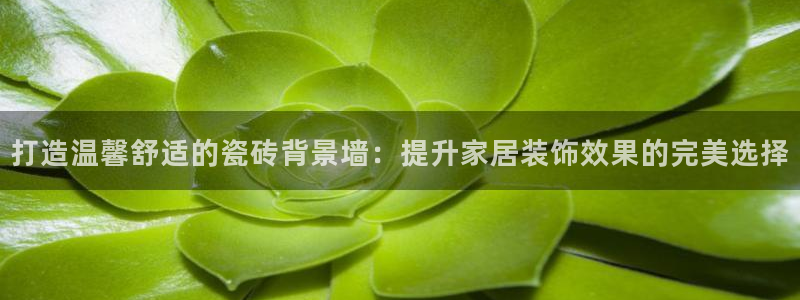 必一体育网页登陆
