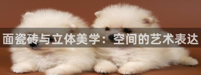 必一体育最新官网入口首页
