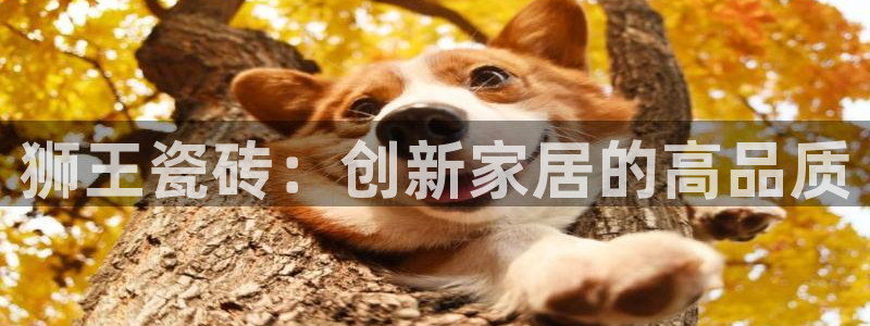 必一体育游戏玩法