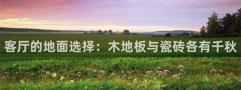 必一体育app官方