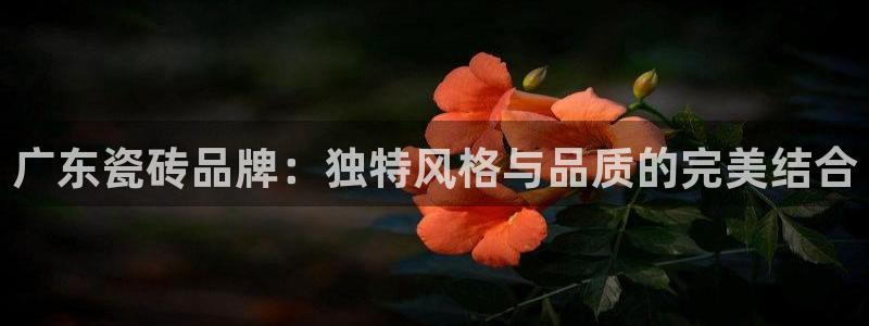 必一运动体育官网下载
