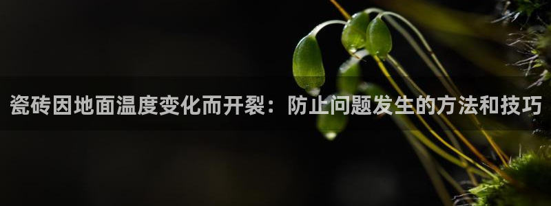 必一体育app官方下载