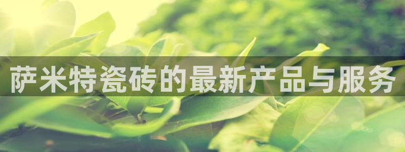 b体育官网下载入口app必一