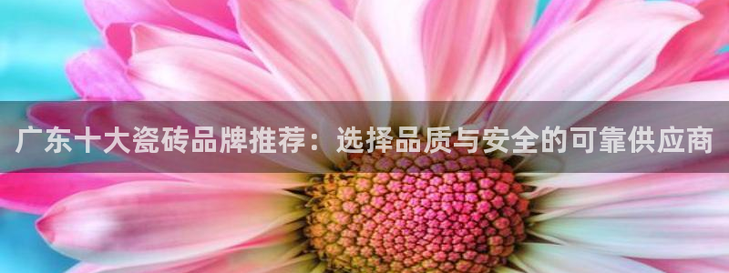 b体育必一下载