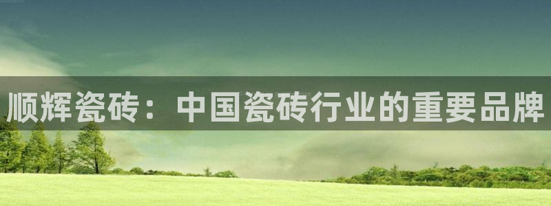 必一体育是哪里的台子