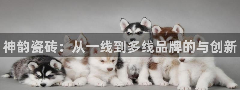 必一运动aop