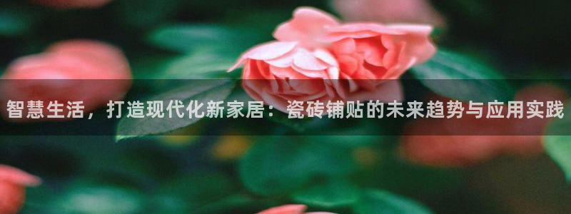 必一运动体育官网下载