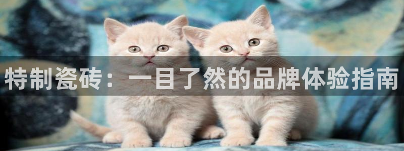 必一体育网页