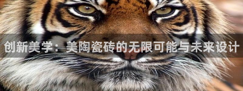 必一运动tieba.baidu.com