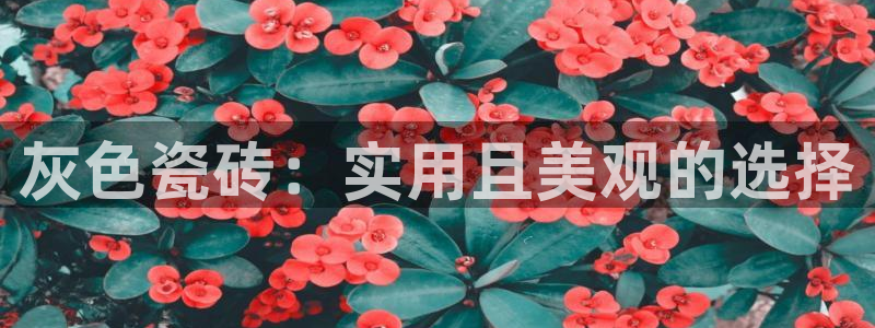 必一运动 b 体育素描版