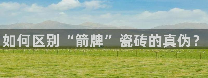 必一运动sport网页版
