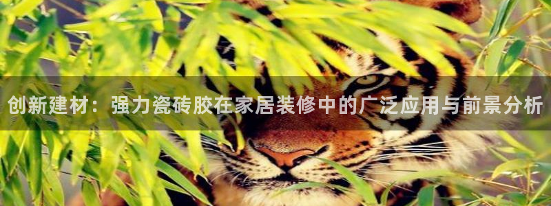 必一体育运动下载
