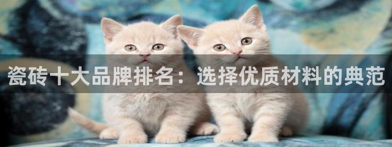 Bsport体育必一