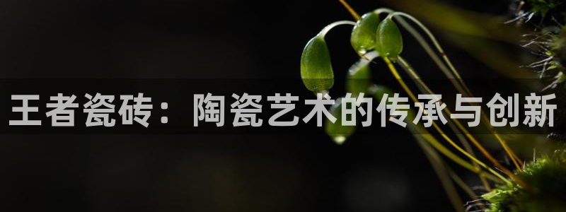必一运动体育