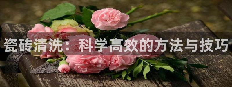 必一体育怎么下载