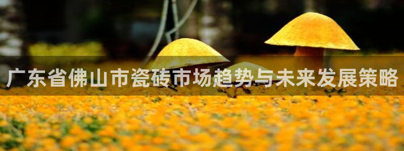 必一体育app下载最新版本