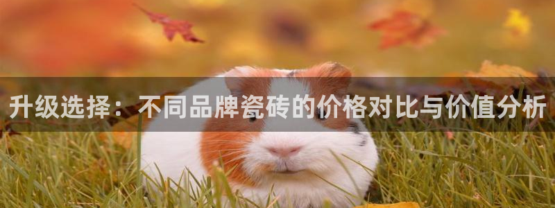 必一体育皮尔斯