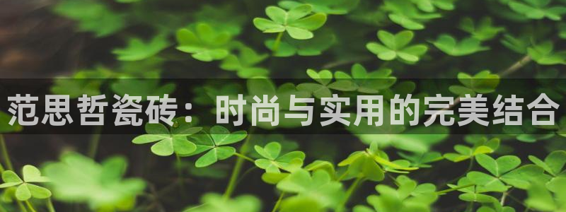 必一体育怎么下载