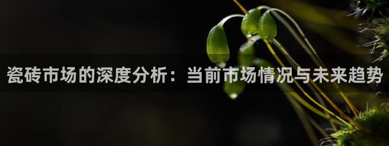 必一运动·(B-Sports)