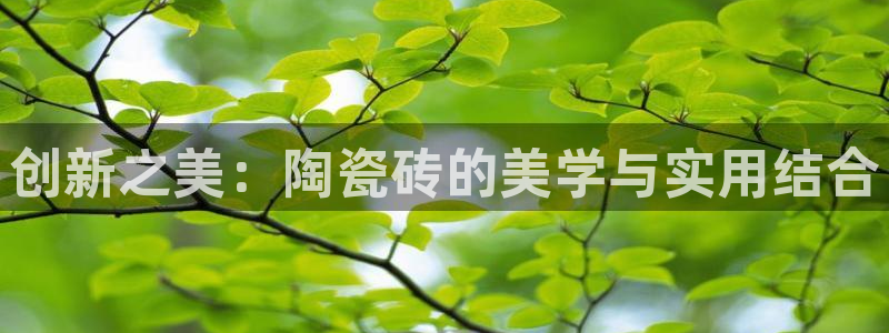 必一体育服下载最新版本更新内容
