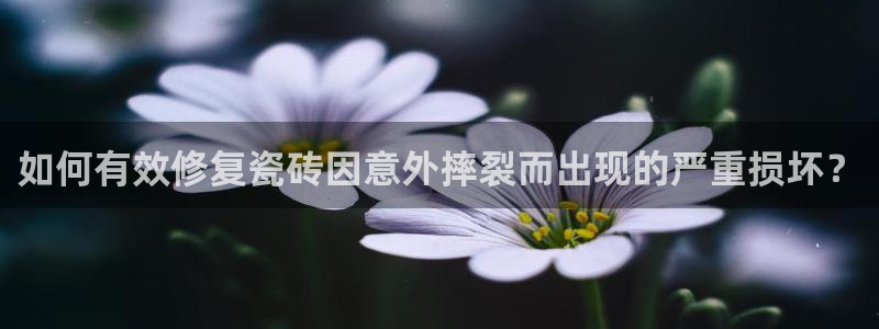 必一运动验证码