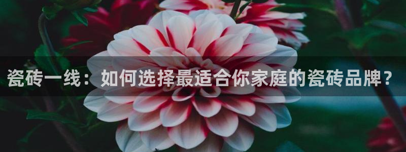 必一体育sport