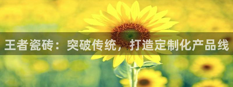 必一体育sportB体育