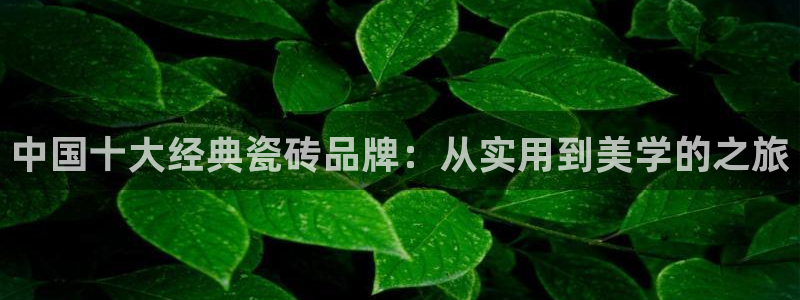 必一体育sport网页版