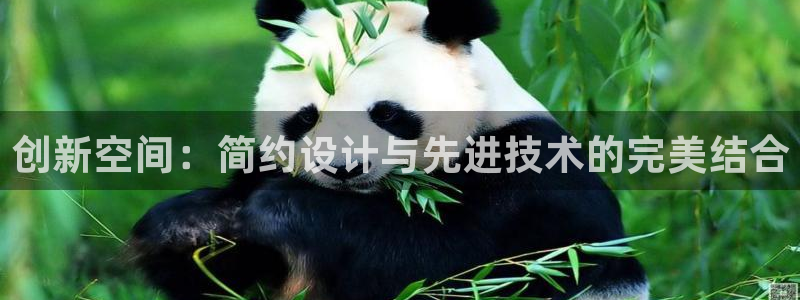 必一体育在线官网