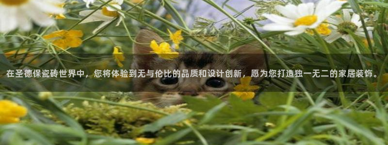 必一体育官网网站