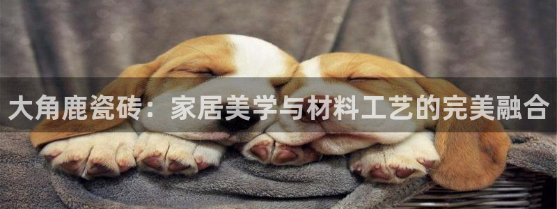 必一体育sport官网