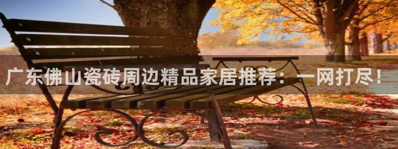 必一体育运动app