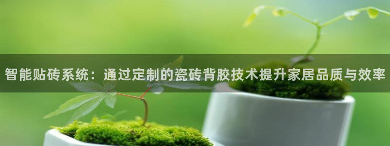 必一体育在哪下