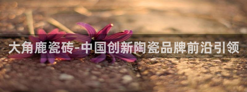 必一体育bsport下载