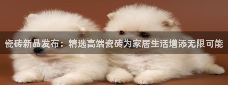 必一体育下载意思