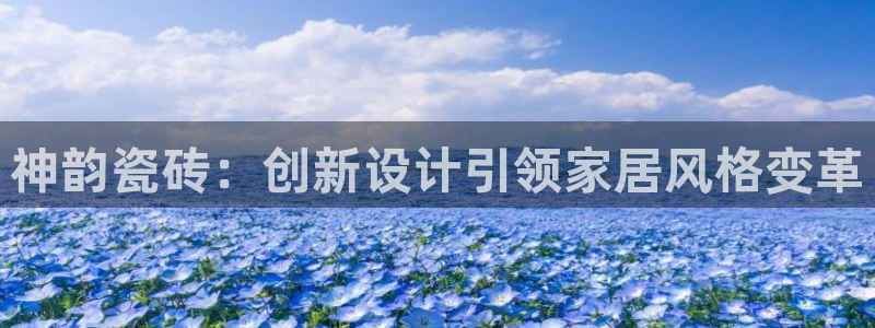 必一体育游戏玩法