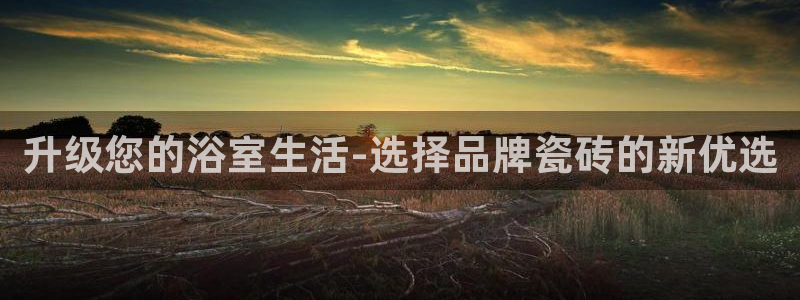 必一运动·(B-Sports)土豆