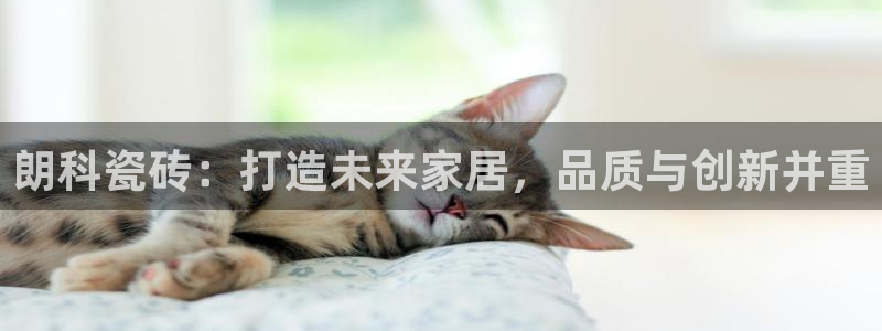 b体育官网下载入口app必一