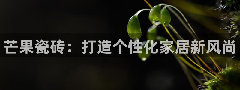 必一运动B-Sport官方网站入口