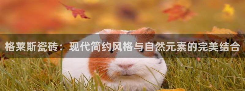 b体育必一运动网页版在线登录入口