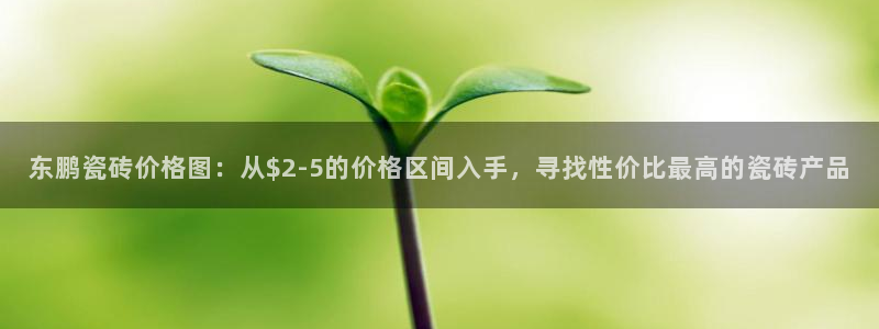 必一体育网页登陆