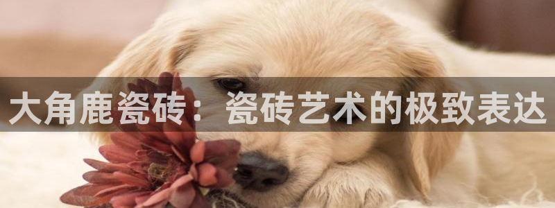 必一体育在线登录