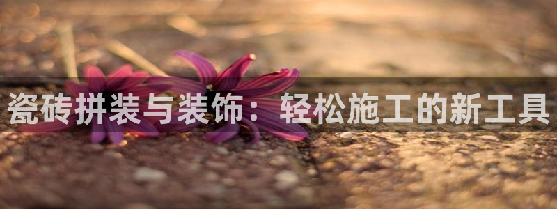 必一运动 b 体育素描版