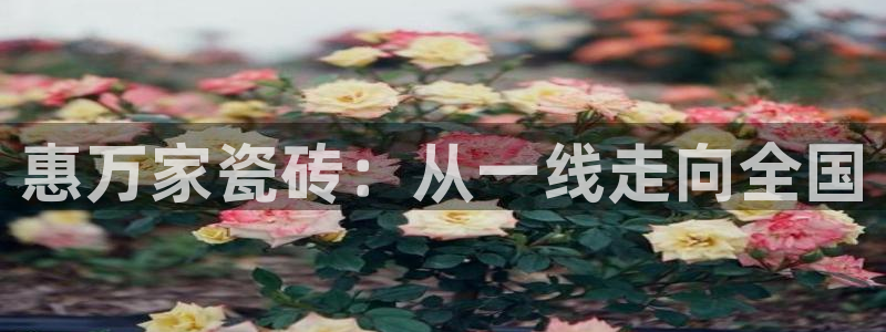 必一体育app下载安装