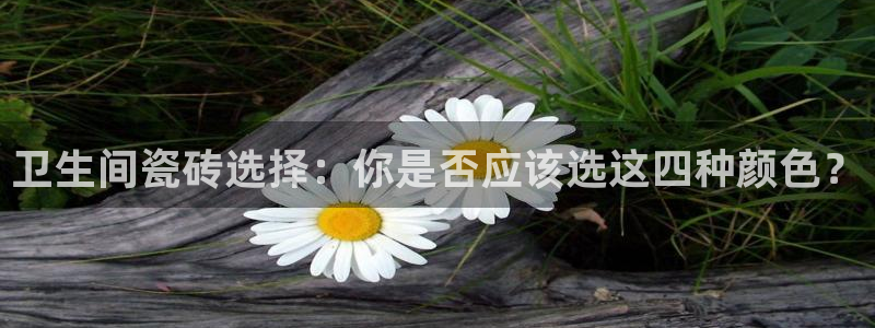 必一体育官方下载