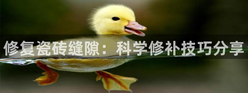 必一体育游戏玩法